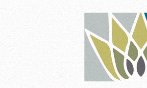 El Dorado Apartments | Apartment and Community Amenities